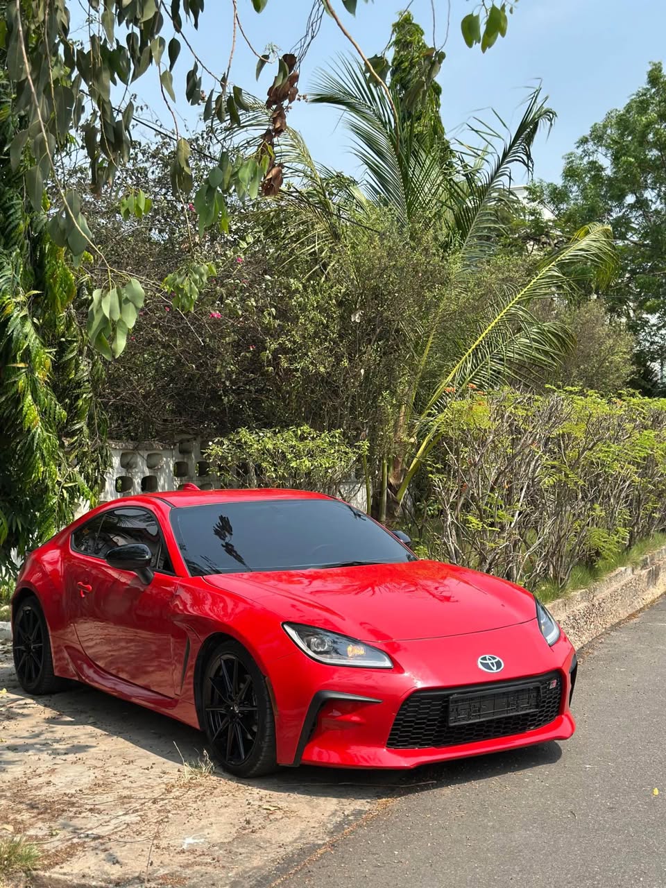 cars