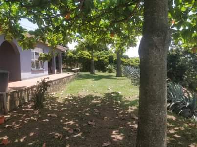 A picture of Home for rent