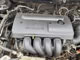 A picture of 04 corolla