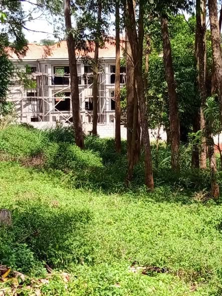 A picture of Quick sale land 15decimals Namugongo kito 160M