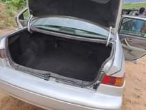 A picture of Camry Tiny