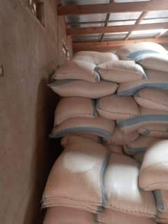 maize