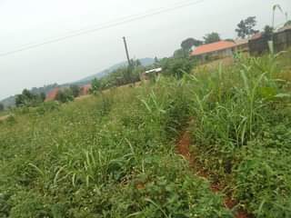 A picture of 100ft by 100ft that touches the tarmac of mukono katosi