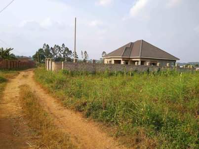 houses matugga
