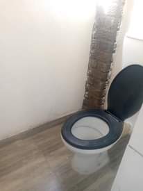 rooms to rent harare