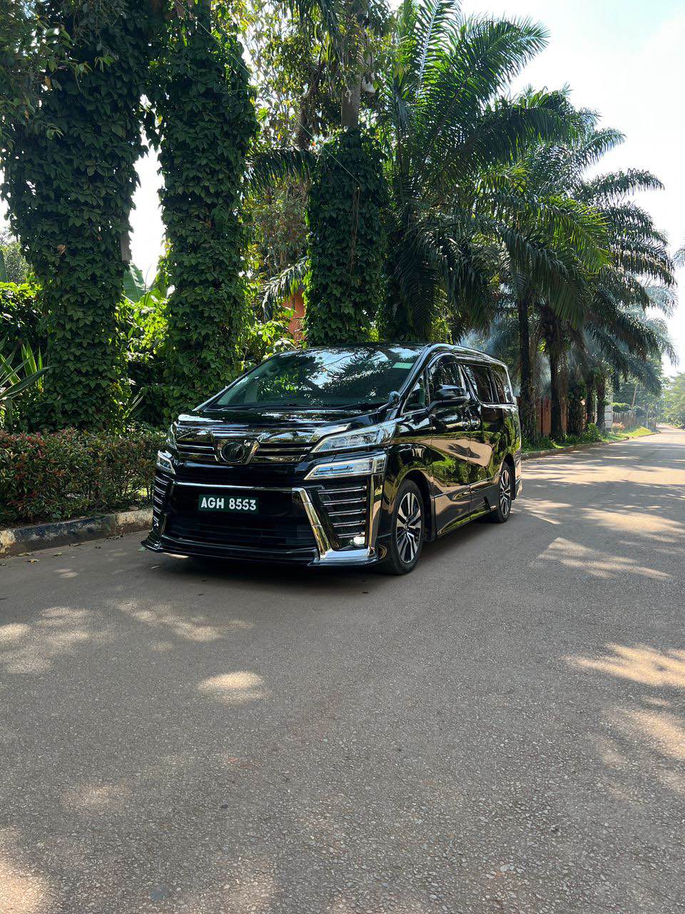 A picture of Velfier 2019 130m
