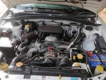 A picture of Forester