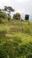 A picture of 1 acre with lake view in prime area for sale
