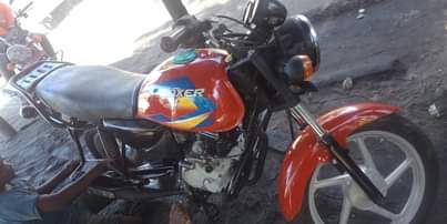 A picture of BOXER GEAR 5