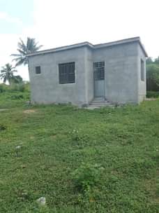 A picture of Banda linauzwa milion6