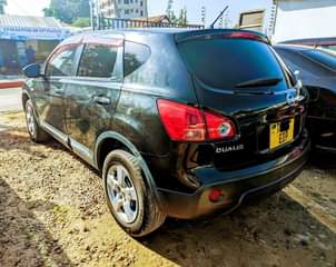 A picture of 2010 Nissan Dualis