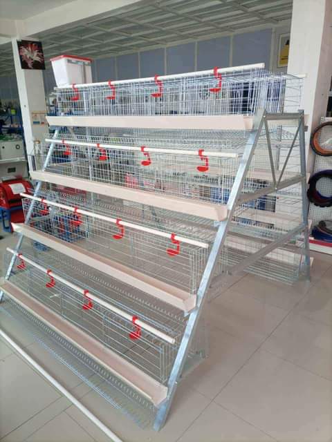 wholesale