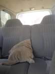 A picture of NISSAN XTERRA