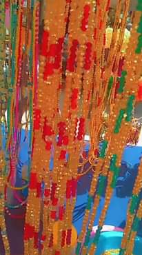 A picture of Shanga