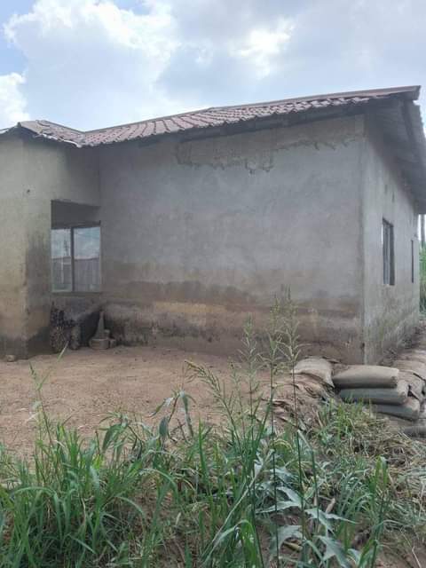 kabanana