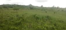 A picture of Tunauza viwanja kibaha mjini kuanzia SQM 500 600 800 900