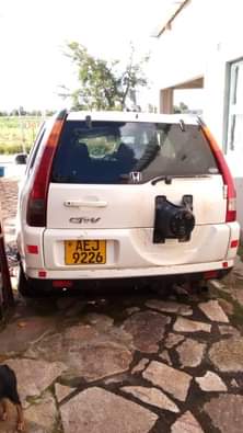 used honda crv