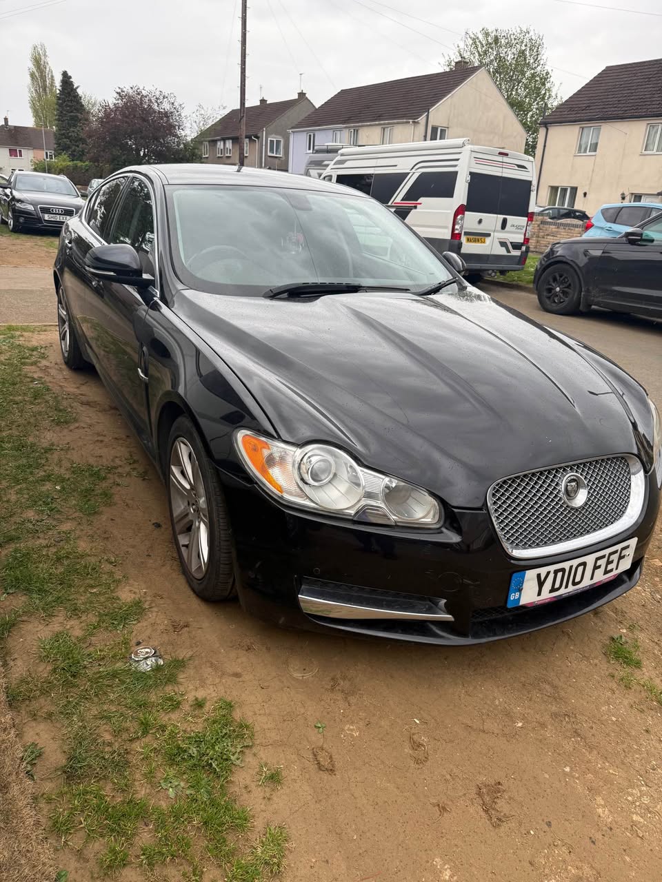 jaguar