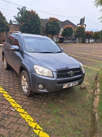 A picture of Rav4