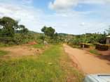 A picture of PLOTS ON SALE In Mpigi Mpambire Masaka road 2km from