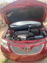 A picture of Damn see this Sweet Muscle Year 08 Neatly painted Price