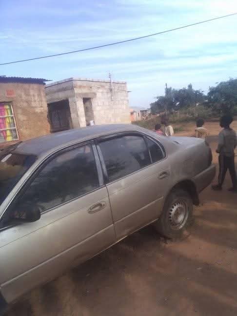 zed cars_under_20pin
