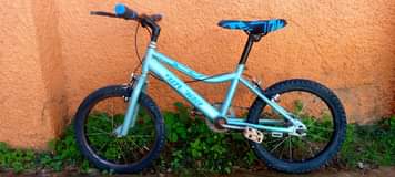 A picture of Kids bike