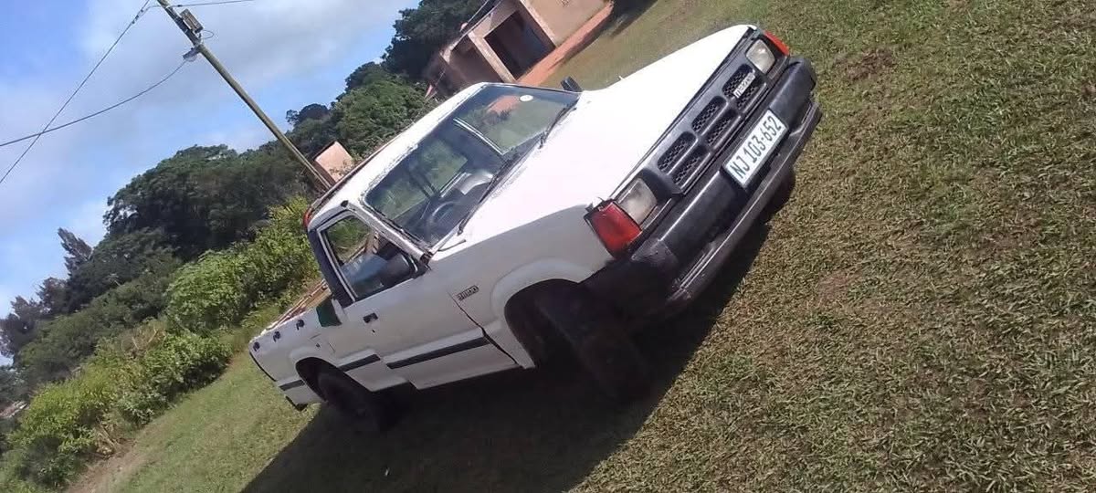 Panashe F.