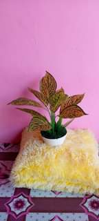 A picture of Tunauza maua Artificial.0762988323