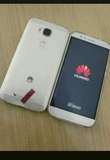 Hyvex C.