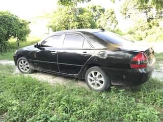 A picture of MARK II GRAND