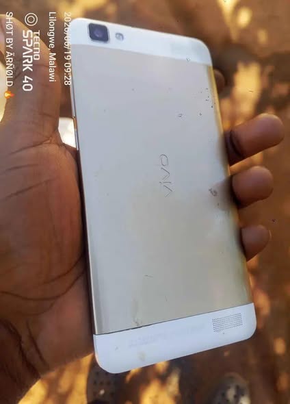vivo