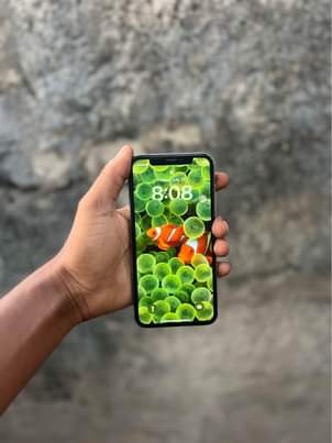 A picture of iPhone X