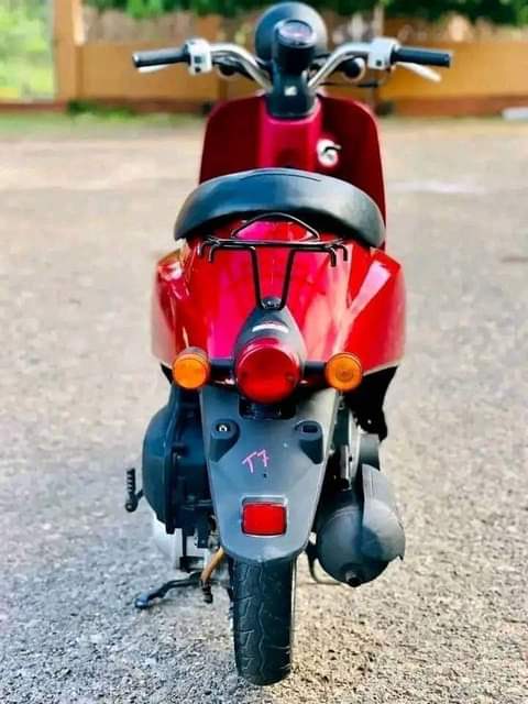 A picture of 2010 Honda Scooter