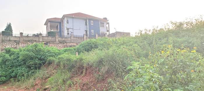 houses najjera