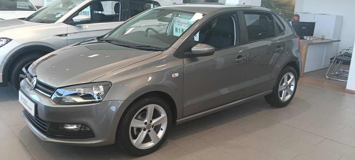 polo vivo