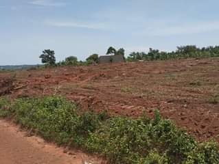 A picture of We sale plots