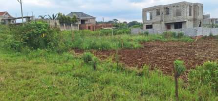 A picture of PRIME PLOT AVAILABLE QUICK SALE Located at Kira Nsasa