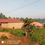 A picture of Quick sale 2plots located at matugga kavule mwelerwe town Good