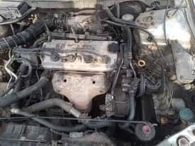 A picture of Honda Accord baby boy