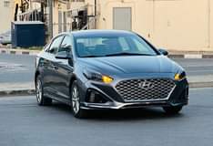 A picture of Sonata 2019