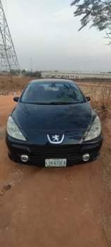 A picture of First body peugeot 307