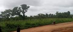 A picture of land for sell at Apo dictress 3thousnd meter