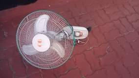 A picture of Feni ya ukutani