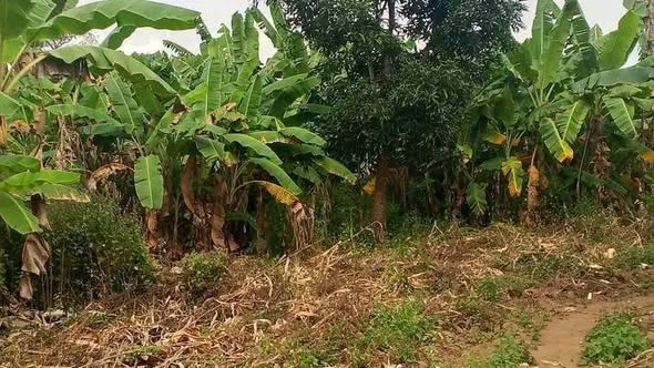 A picture of Shamba linauzwa lipo mbwewe