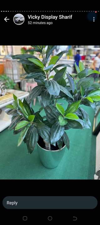 A picture of Artificial flowers and plants