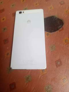 Sindisiwe L.