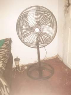 A picture of Feni kiboko ya joto