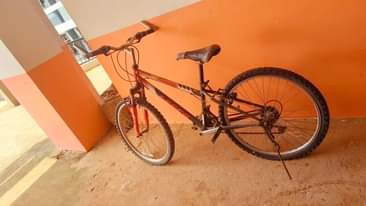 A picture of young adults Bicycle
