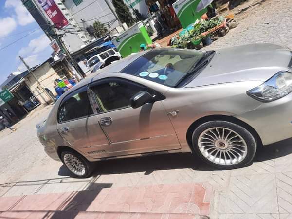 used toyota corolla